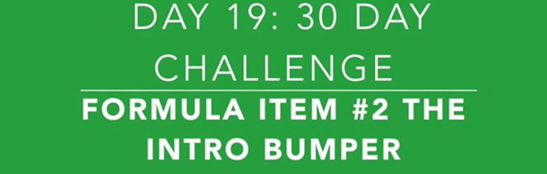 Day 19: Item #2 for the Video Framework, Intro Bumpers